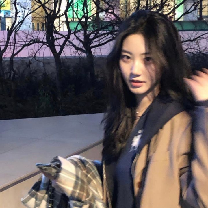 被解救的姜戈